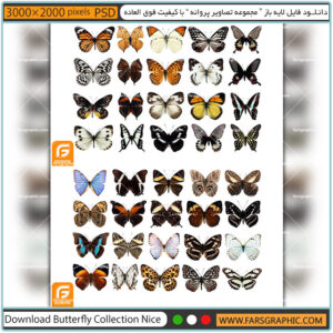دانلود فایل لایه باز مجموعه تصاویر پروانه با کیفیت فوق العاده