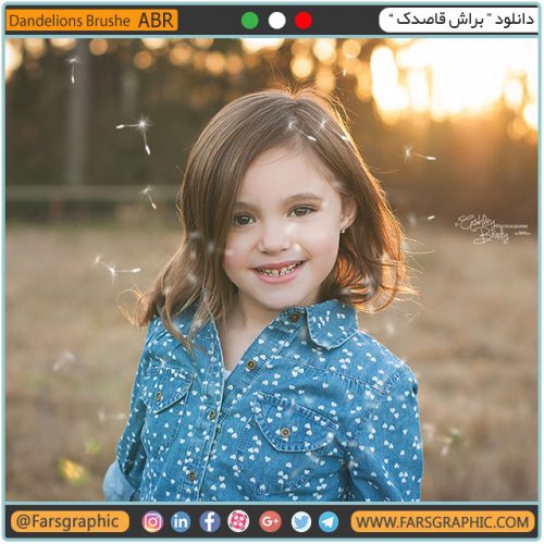 دانلود براش قاصدک