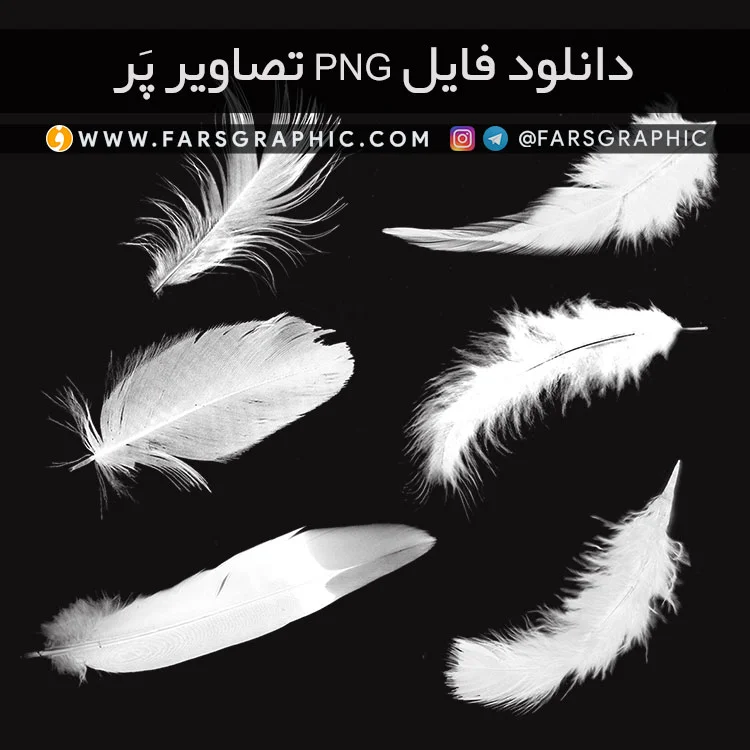 دانلود فایل PNG تصاویر پر - png / دور بری شده فایل تصویر png پر