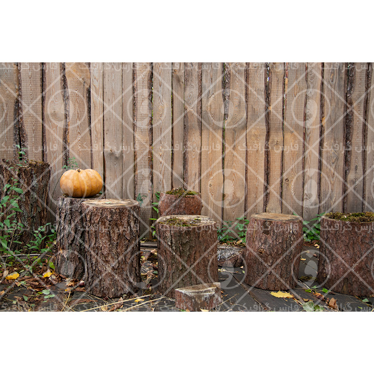 مجموعه 12 پس زمینه عکس هالووین - کد 70