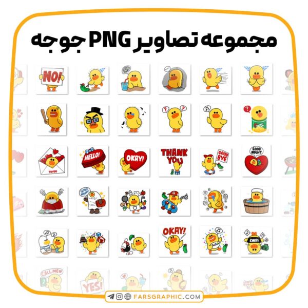 مجموعه تصاویر PNG جوجه سالی